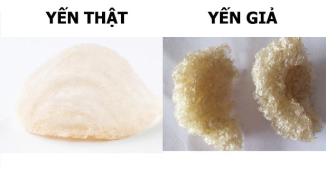 Phân biệt tổ yến thật và giả: Cảnh báo từ bác sĩ chuyên khoa
