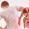 Người trẻ và 5 thói quen đang âm thầm phá hủy thận mỗi ngày