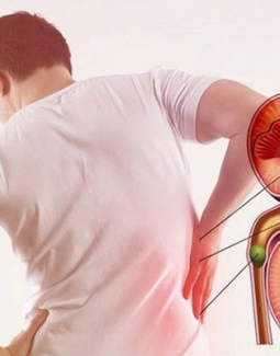 Người trẻ và 5 thói quen đang âm thầm phá hủy thận mỗi ngày